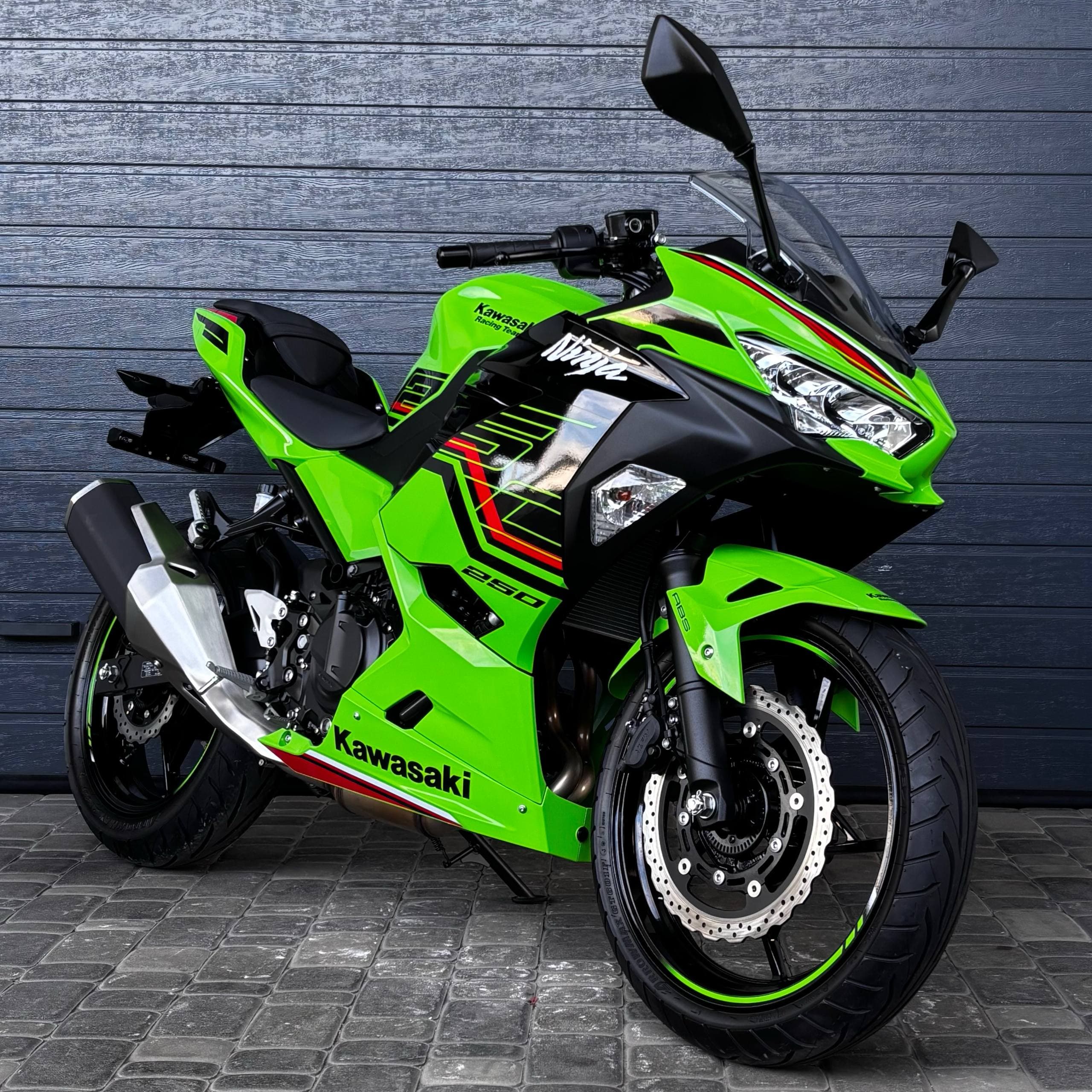 Kawasaki Ninja 250 Art. 0674